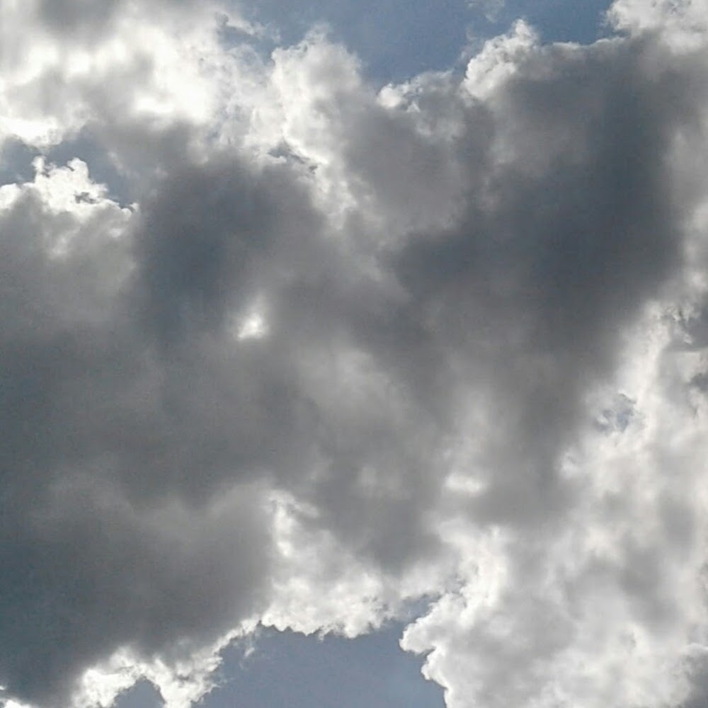 Meet your Posher, Tamika